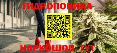 меф Краснознаменск