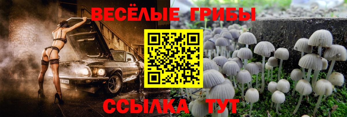 Галлюциногенные грибы мицелий Еманжелинск